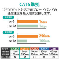 LANケーブル 10m cat6 爪折れ防止 ギガビット より線 ライトグレー LD-GPT/LG10/RS エレコム 1個（わけあり品）