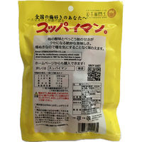 スッパイマン 梅キャンディー たねぬき 1セット（1袋×6） 上間菓子店 塩分 塩分補給 塩分対策 飴