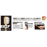 極プレミアムケア 超密ぎっしり ふつう エビス 歯ブラシ ハブラシ