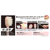 極プレミアムケア 極上ふんわり 特にやわらかめ エビス 歯ブラシ ハブラシ