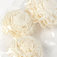 ネイチャーアロマ（ドライフラワー） Sunny Aftrernoon LAKOLE/ラコレ