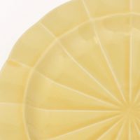 レイカプレート（S） イエロー 1セット（1枚×2） LAKOLE/ラコレ