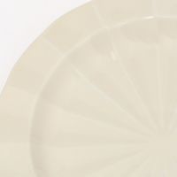 レイカプレート（S） ホワイト 1セット（1枚×2） LAKOLE/ラコレ