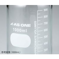 アズワン アイボトルNEO 250mL 3-9866-22 1個（直送品）