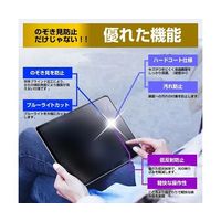 液晶保護フィルム Apple iPad 第7世代 10.2インチ のぞき見防止 180度 tab-pvt-180-k0001188661（直送品）