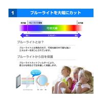 メディアフューチャー 液晶保護フィルム ブルーライトカット 反射防止 17インチ free-blc-17 1枚 69-2906-07（直送品）