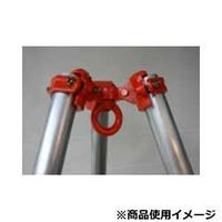 タコマン 三脚ヘッド 2トン用 TSー20 1個（直送品）