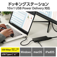 ドッキングステーション タイプC ハブ 10in1 HDMI LAN SD USBハブ DST-100BPBK エレコム 1個（直送品）