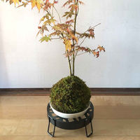 東洋ケース プランタースタンド 和柄プランタースタンド Mサイズ 21cm 七宝 423715 1個（直送品）