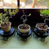 東洋ケース プランタースタンド 和柄プランタースタンド Sサイズ 直径15cm 千鳥 423711 1個（直送品）