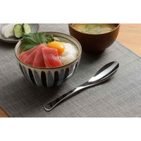 下村企販 スプーン 19cm TSUBAME サッとすくえるスプーン ステンレス 5本組 436333 1個（直送品）