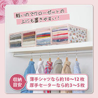 アストロ このサイズが欲しかった!高20cm 衣類整理袋 プチローズ 4枚組 183-39 1セット(4枚)（直送品）