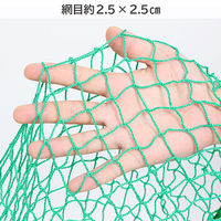 アストロ 養生グリーンネット 10x10m 530-24 1枚（直送品）