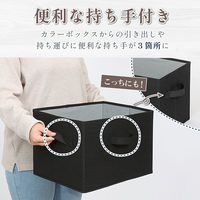 アストロ 収納ボックス ブラック 2個組 606-71 1セット(2個)（直送品）