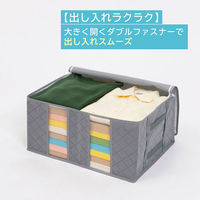 アストロ 持ち手が便利 活性炭衣類整理袋 小 615-32 1個（直送品）