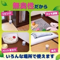 ダニコナーズ ビーズタイプ 天然由来成分 ダニよけ 消臭 60日 無臭 1セット（2個） KINCHO キンチョー