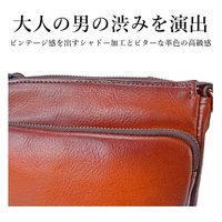 スワン GEM BASIC 牛革シャドー サコッシュ 1503 ブラウン 1個（直送品）