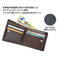 スワン ROTHCO リサイクルレザー 2つ折れ財布 45048 ブラック 1個（直送品）