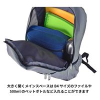 スワン SIERRA FIELD AD Dリュック 2231 25L ネイビー 1個（直送品）