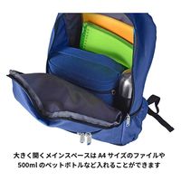 スワン SIERRA FIELD AD ミニDリュック 2230 19L ネイビー 1個（直送品）