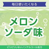 モンダミン Kid's（キッズ） メロンソーダ味味 250mL ノンアルコール 洗口液 1個 アース製薬 オリジナル