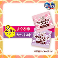 銀のスプーン かつお節チップ in クッキー まぐろ味 かつお味 国産 72g（6g×12袋）1袋 猫用 おやつ