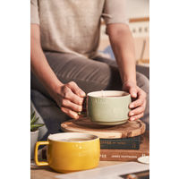 ツヴィリングJ.A.ヘンケルスジャパン ストウブ スープマグ 500ml ユーカリ レンジ カップ 食洗機 1個