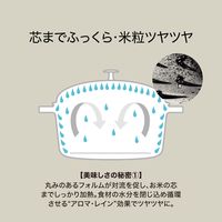 ツヴィリングJ.A.ヘンケルスジャパン ラ・ココット de GOHAN Ｌ 20cm ブラック　ガス IH 鋳物鍋 両手 1個