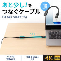 サンワサプライ USB5Gbps TypeーC延長ケーブル（PD100W・0.1m） KUー5GCCP100EN01 1本