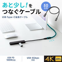 サンワサプライ USB5Gbps TypeーC延長ケーブル（PD100W・0.5m） KUー5GCCP100EN05 1本