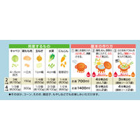 煮込みラーメン 鶏うま塩味 1箱 永谷園