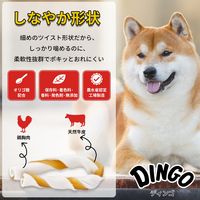 ディンゴ チキンスティック スリム 超小型～中型犬用 22本入 1袋 スペクトラム ブランズ ジャパン 犬用 おやつ