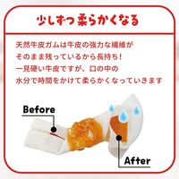 ディンゴ チキンツイスト 超小型～中型犬用 15本入 1袋 スペクトラム ブランズ ジャパン 犬用 おやつ