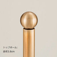 【軒先渡し】ストア・エキスプレス 回転ハンガースタンドセット[165cm]シングルフック アンティークゴールド 82045-2101（直送品）