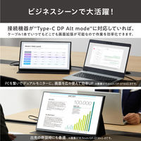 【まとめ買いがお得】アイリスオーヤマ モバイルモニター PCモニター USB-C ディスプレイ 18.5インチ DP-EF184S-B