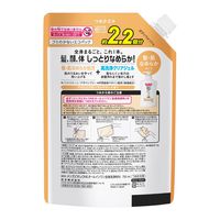 メンズビオレ ONE オールインワン全身洗浄料 髪肌なめらかタイプ つめかえ用 750ml 花王  液体タイプ