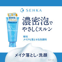 専科 メイクも落とせる洗顔料 ｆ  本体 120g ファイントゥデイ
