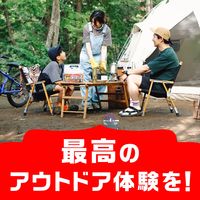 アース虫よけ線香 モンスーン 100巻 虫除け アウトドア 害虫対策 1セット（1個×2） アース製薬