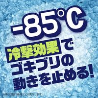 ゴキブリ 駆除剤 冷凍スプレー ナチュラス 凍らすジェット ゴキブリ秒殺 200ml 1セット（1本×2） 対策 退治 除去 殺虫剤 アース製薬