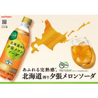 ポッカサッポロフード＆ビバレッジ 北海道搾り夕張メロンソーダ 500ml 1箱（24本入）