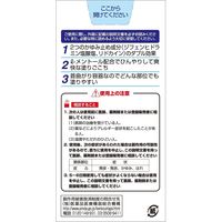 ラクピオンローション 50ml ラクール薬品販売 かゆみ 虫さされ【第2類医薬品】