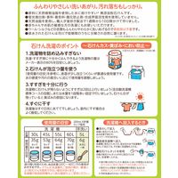 シャボン玉植物性スノール 粉石けん 紙袋 1.5kg 衣料用洗剤 粉末洗剤 粉 1個 シャボン玉石けん