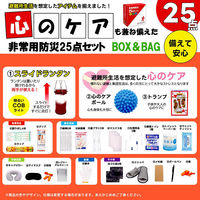 エムアンドティー 心のケア入り防災バッグ 25点(軽量持ち出し袋、箱入り) 6300062384 1セット（直送品）