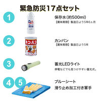 エムアンドティー 緊急防災17点セット 6300062386 1セット（直送品）