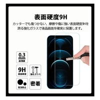 武興商事 iPhone12対応 全3種類 強化ガラスフィルム 液晶保護 A 6.7インチ 100245 1個（直送品）