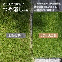 ミナト電機工業 リアル人工芝 通常タイプ 1m×2m デラックス AT-DX350-0102 1個（直送品）