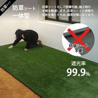 ミナト電機工業 リアル人工芝 防草タイプ 1m×2m レギュラー AT-RG351-102 1個（直送品）