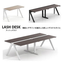 スマイル LASH デスク 2連 幅2400×奥行600×高さ720mm ダークアッシュ×ホワイト 1台（取寄品）