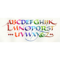 呉竹 ZIG カリグラフィー2 24色セット TC-3100/24V 1個（直送品）