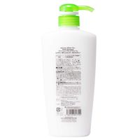 レイヴィー ボディシャンプー ホワイトティー 500mL アクシス 液体タイプ